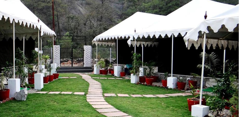 Camp Aqua forest in Rishikesh 