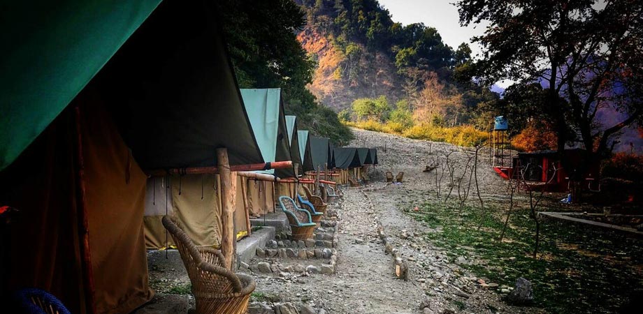 Camp Paddlers Rishikesh