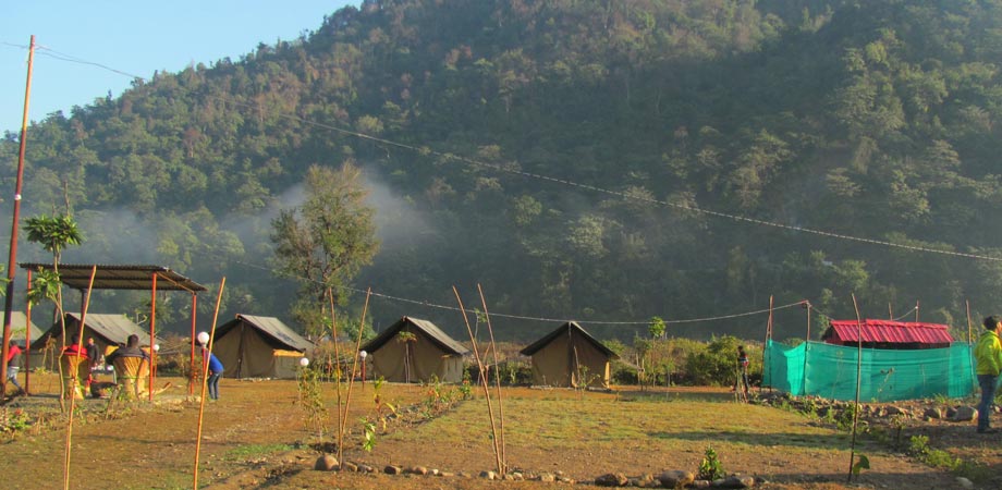 Camp Paddlers Rishikesh 