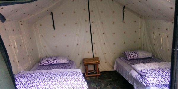 Summer Special Offer in Rishikesh Summer Special Offer in Rishikesh